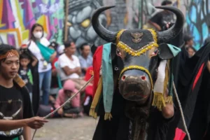 Bantengan: Seni Tari Tradisional dari Malang Raya